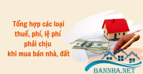 Các loại thuế khi mua bán nhà đất mới nhất năm
