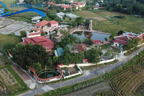 Mua đất sổ chung có bán lại được không? 3 bước mua bán và 6 rủi ro khi giao dịch đất sổ chung 2025 5 3 Bước mua bán đất sổ chung
