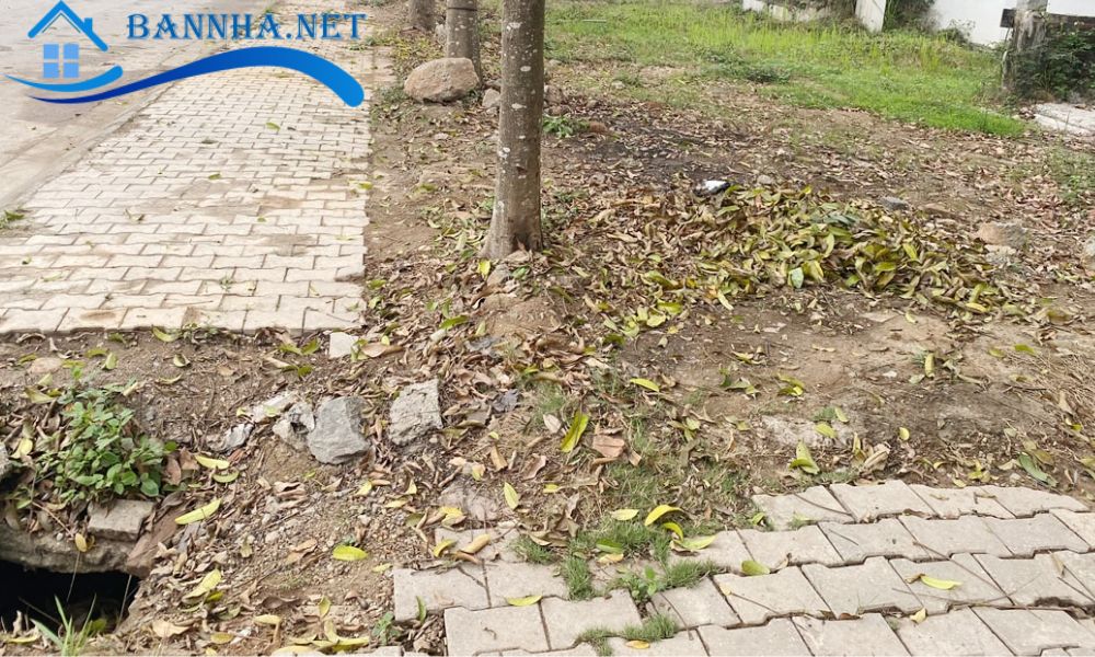 Đất lưu không là gì? Quy định pháp luật, rủi ro và 4 bước xác định đất lưu không mới nhất 2025 6 4 Bước xác định đất lưu không chính xác