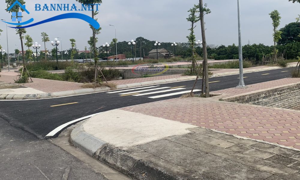 Đất lưu chủ là gì? 6 loại đất lưu chủ và những rủi ro về đất lưu chủ bạn cần biết 2025 8 4 bước để hợp thức hóa đất