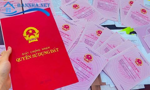 5 Bước thực hiện thủ tục cấp đổi sổ cũ sang sổ mới