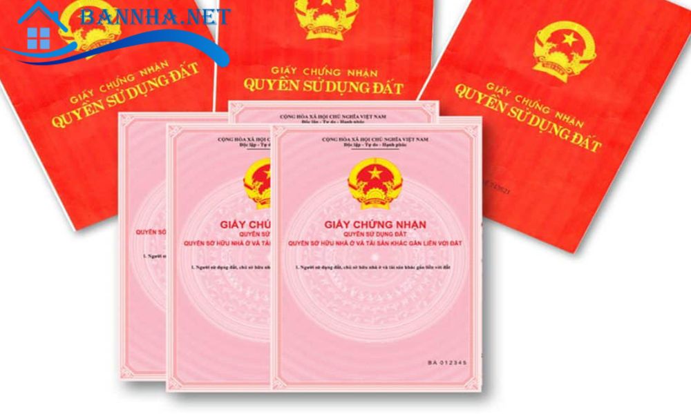 Buông sổ là gì? Rủi ro, hậu quả khi buông sổ và những điều ghi nhớ bạn cần biết 2025 4 Buông sổ là gì