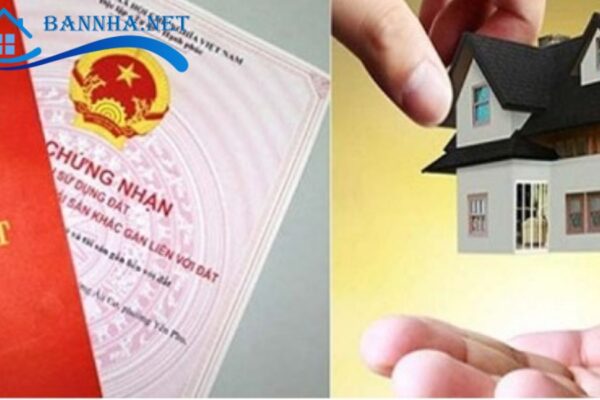 Các hình thức phổ biến của nhà sổ chung tại Việt Nam