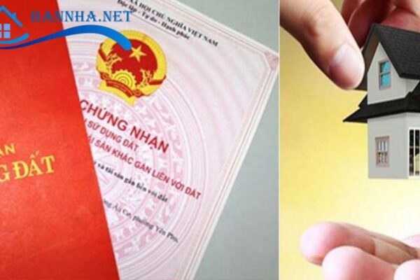 Cải tạo và làm đẹp nhà