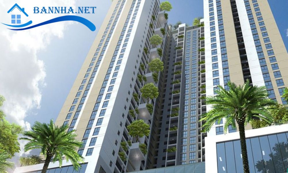 Cẩm nang chuẩn bị tài chính vững chắc khi mua chung cư trả góp