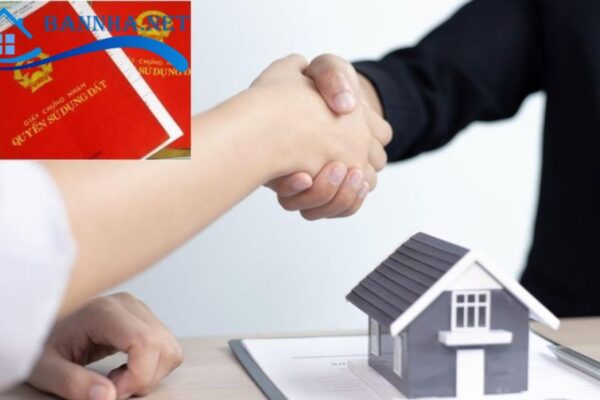 Chuẩn bị pháp lý và giấy tờ