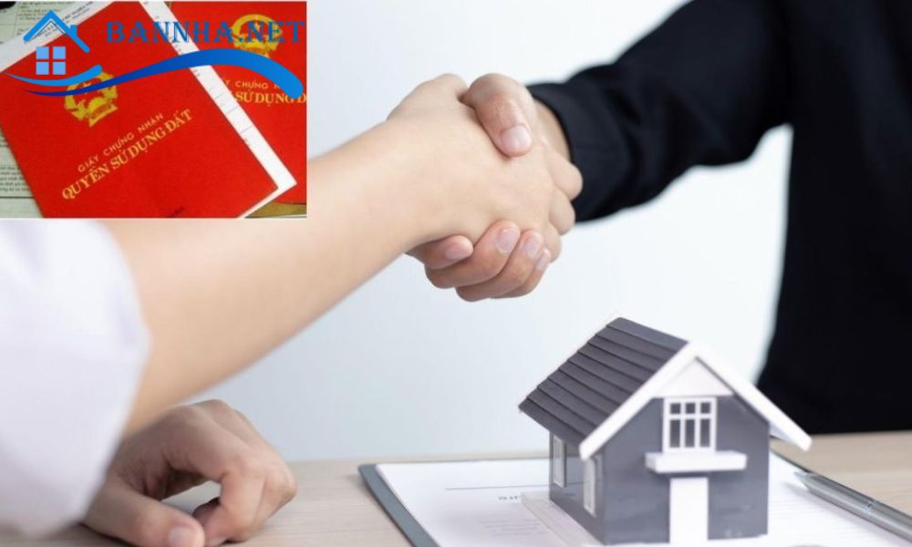 Chuẩn bị pháp lý và giấy tờ