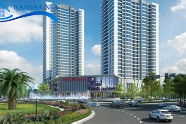 đất TMD và đất sản xuất kinh doanh
