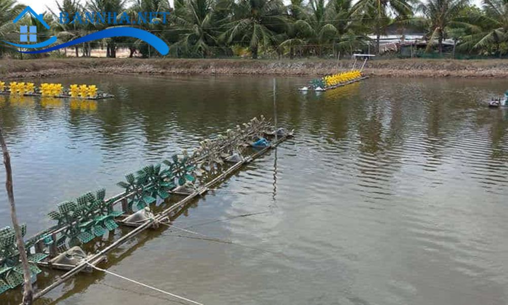 Đất TSN