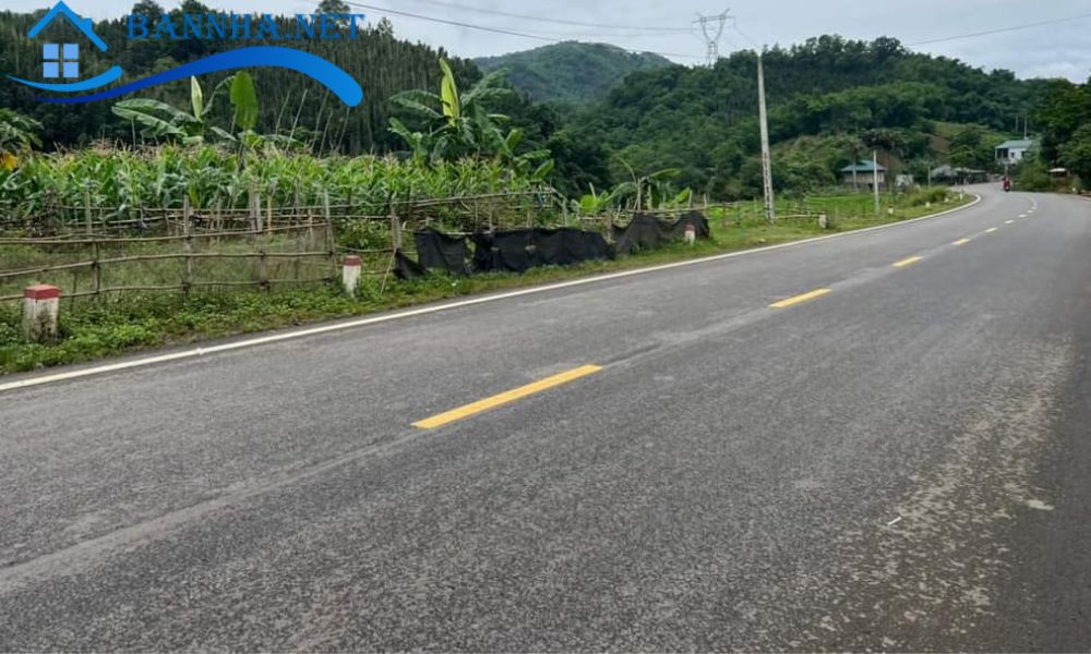 Đất lưu chủ là gì? 6 loại đất lưu chủ và những rủi ro về đất lưu chủ bạn cần biết 2025 5 Đất lưu chủ