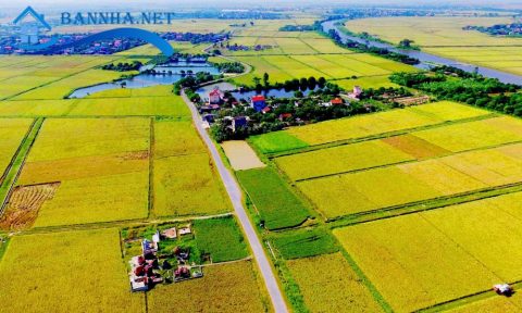 Đất nông nghiệp sổ chung