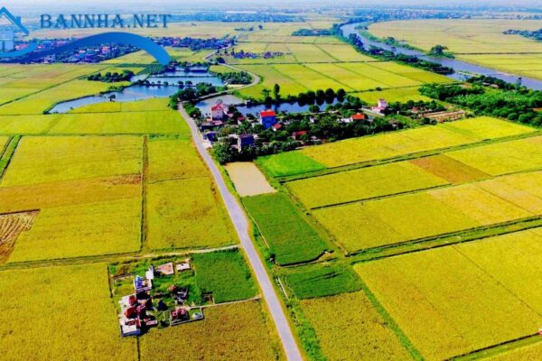 Đất nông nghiệp sổ chung