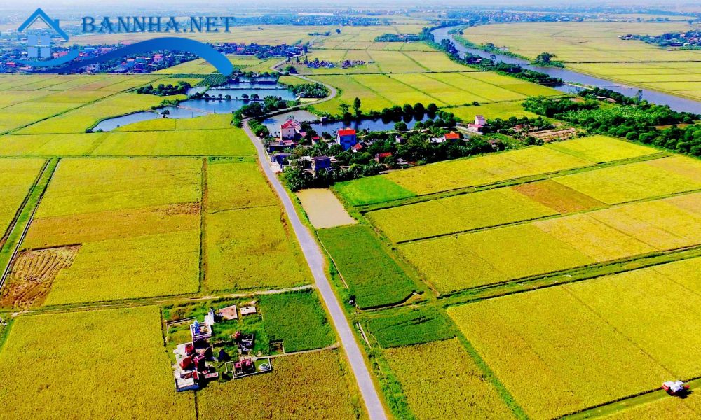 Đất nông nghiệp sổ chung