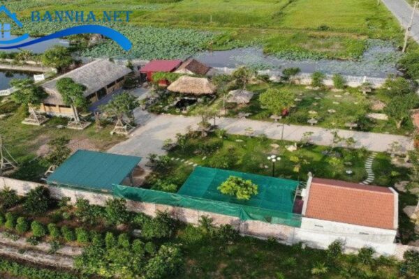 Giấy Tờ Cần Thiết Khi Mua Đất Sổ Chung? 5 Bước mua bán đất sổ chung bạn cần biết 2025 5 Đất sổ chung