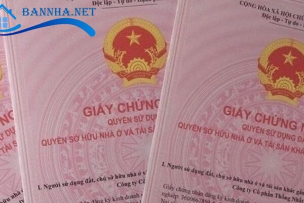 Đất sổ chung