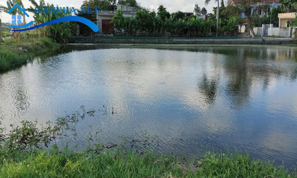 Điều kiện để được Nhà nước giao hoặc cho thuê đất TSN