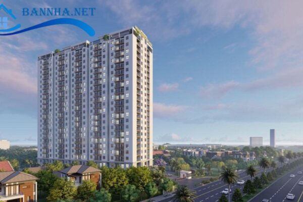 Kiểm tra tính hợp pháp của bất động sản