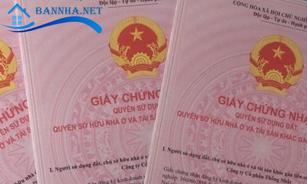 Sổ chung và đồng sở hữu có giống nhau không? Điều khác biệt mà bạn cần biết 2025 4 Sổ chung và đồng sở hữu