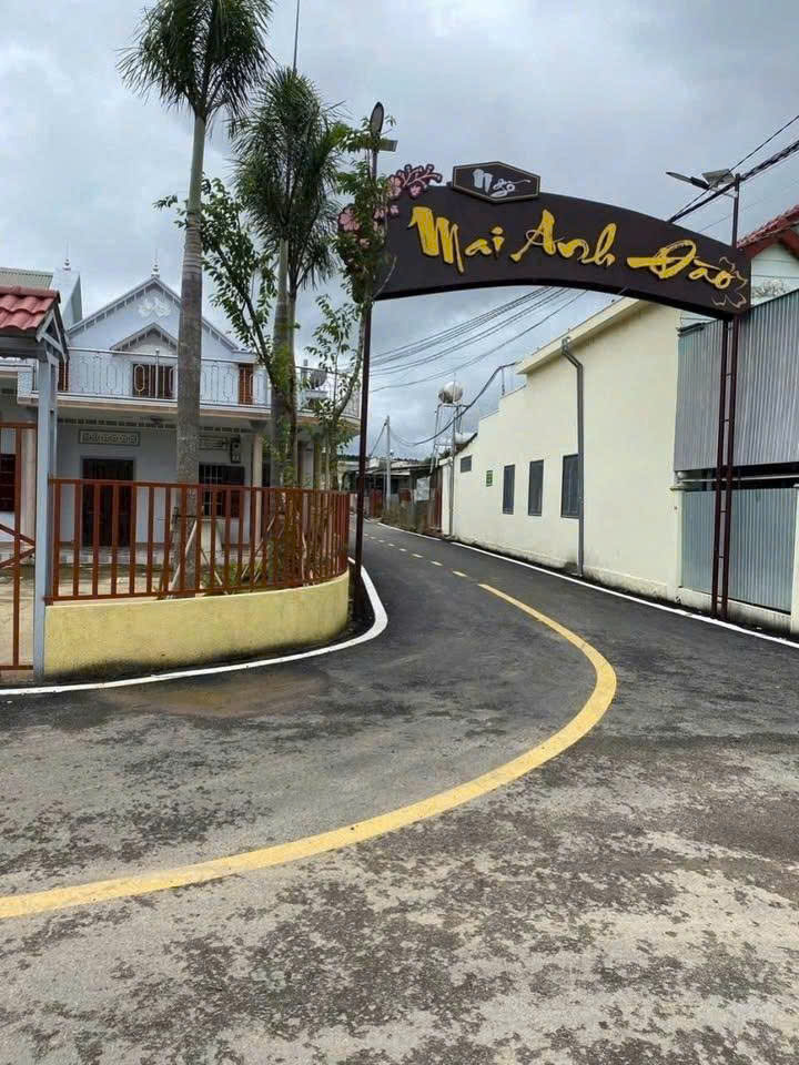 Bannha.net z7077681132296 9f221518d01044c7bd6f29ecd8b41660