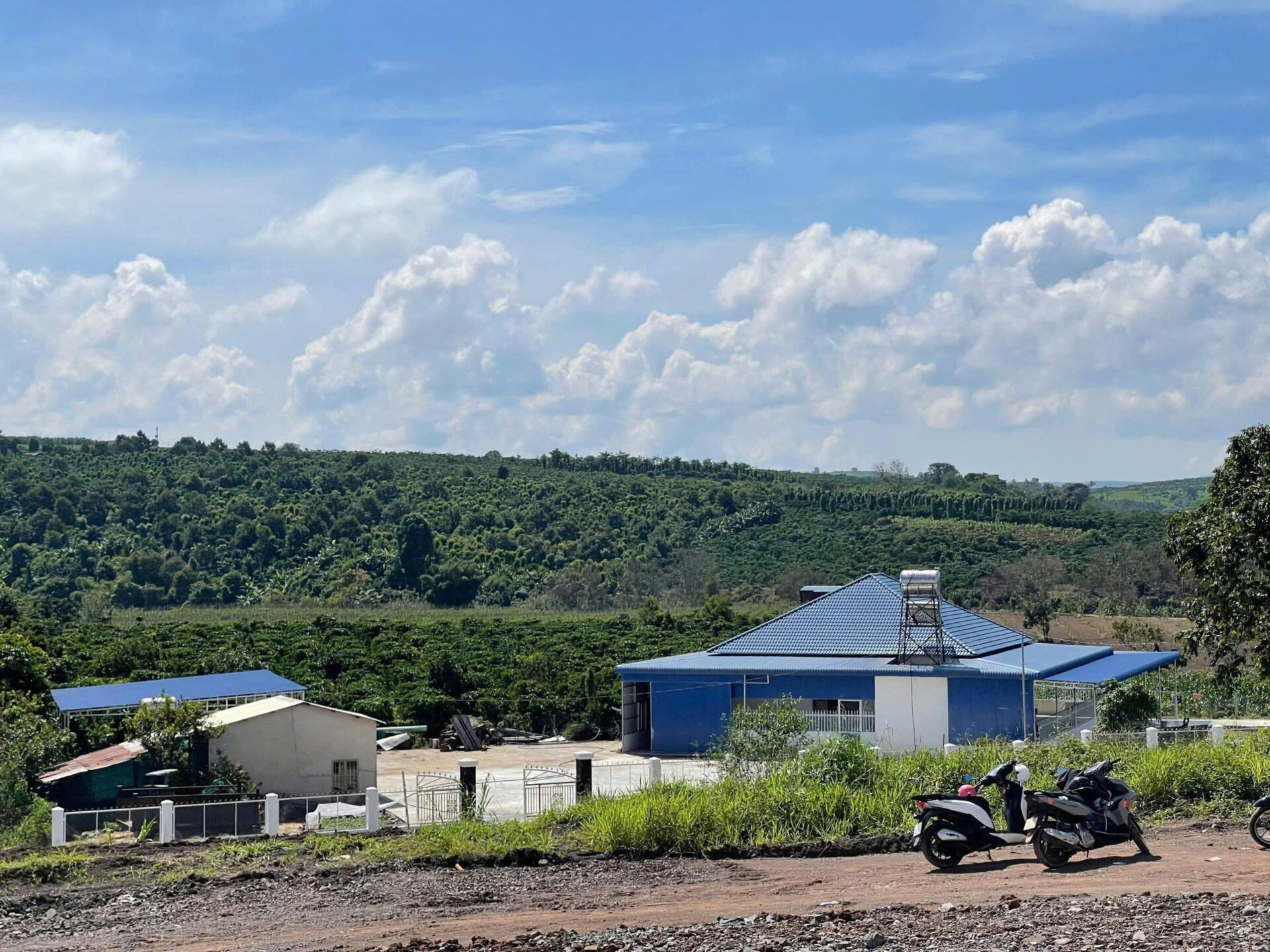 Bannha.net z7097088360341 98c1fcf078d77c1f11889b171ce57f42