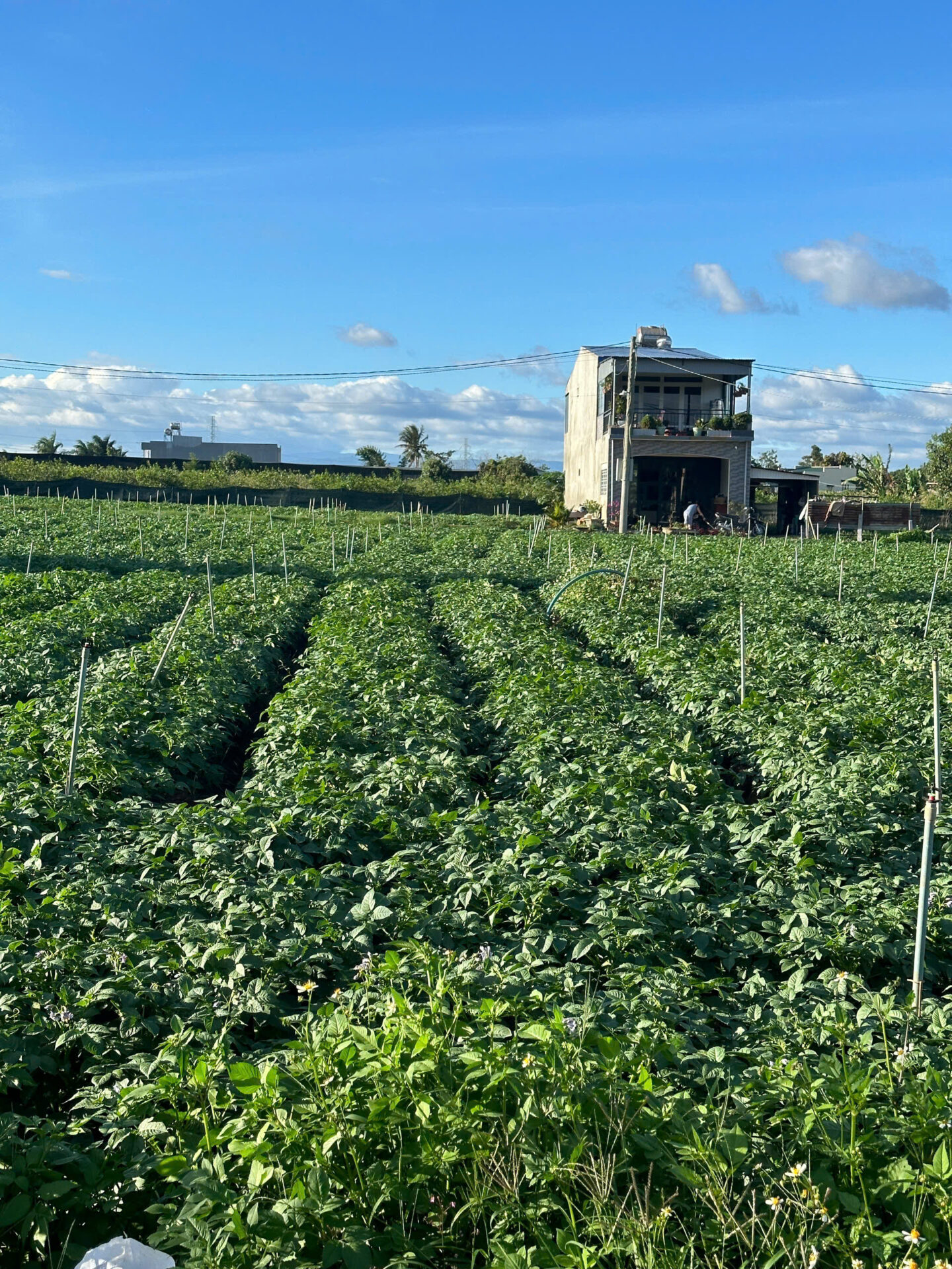 Bannha.net z7173694000888 2ce0da64a5f3b2f3acc5d2d77faa0c1e