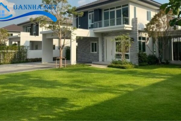 Quên theo dõi thị trường và giá không nhất quán