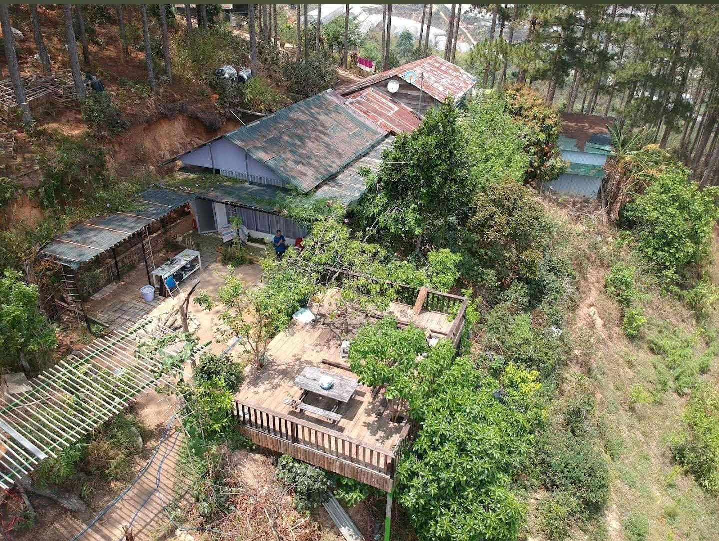 Bannha.net z7328000391215 e93506c0d0985805a0b6fe4ef904f785