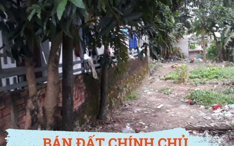 Ban-dat-chinh-chu