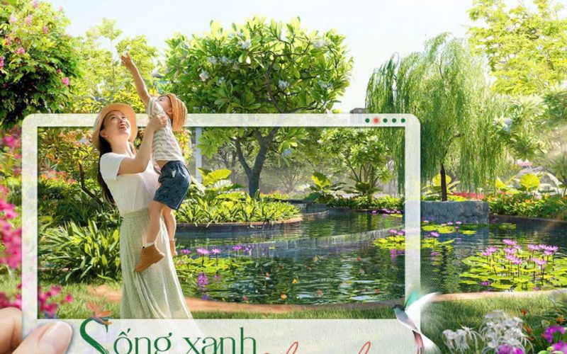 Bannha.net-657685166_26834577419461947_8894214344785768184_n