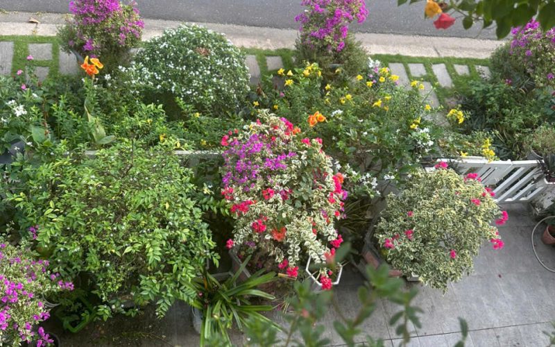 Bannha.net-gen-h-z7270227944114_a072383846cf07216c17c4fd770793e5 - Copy - Copy