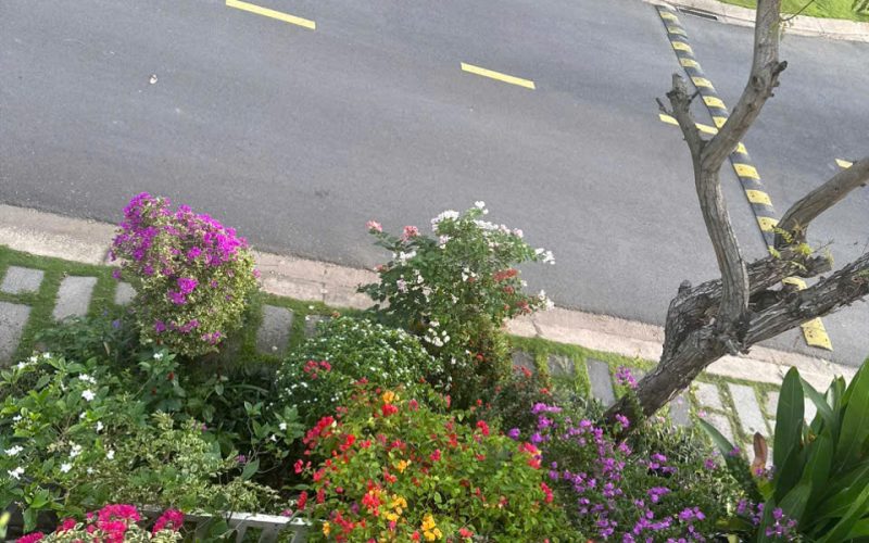 Bannha.net-gen-h-z7270227954237_a3d037029e86193cb6ec1e33f307259e - Copy