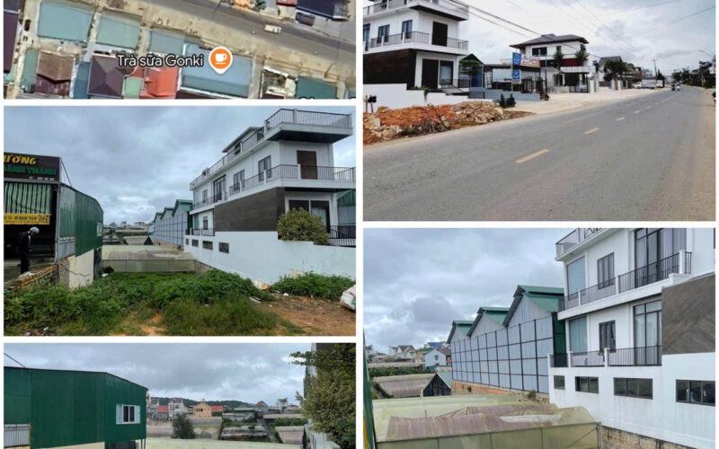 Bannha.net-other-dat-300m2-duong-ngo-gia-tu-phuong-12-tp-da-lat-6-zWx3JvkAsTg@large