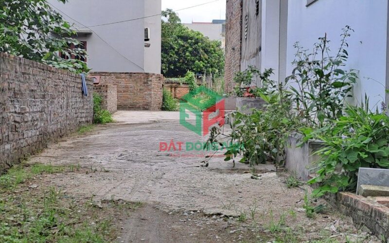 Bannha.net-z5031893153719_6bfc461a5105776cdd18ff90d1e7bac4