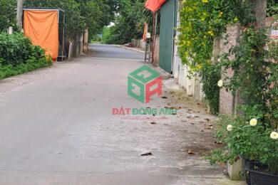 Bannha.net-z5031893153720_e446e2a0cb429ff56fdcb35697e81303