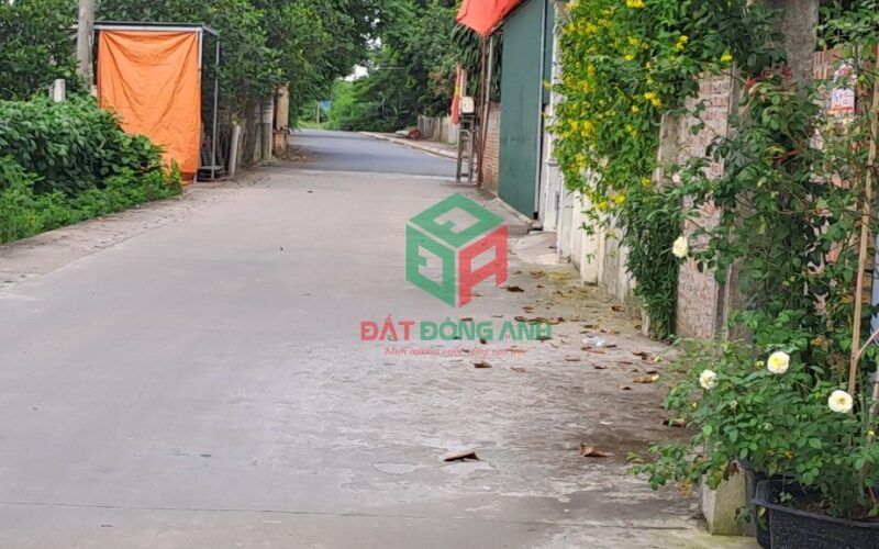 Bannha.net-z5031893153720_e446e2a0cb429ff56fdcb35697e81303