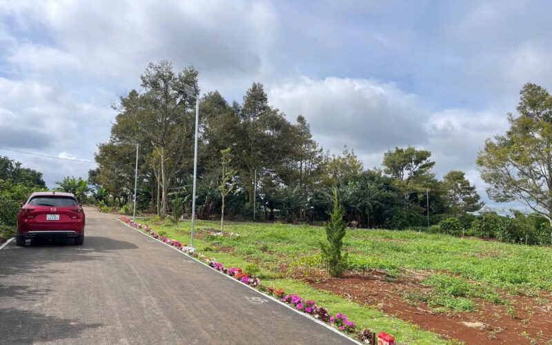 Bannha.net-z7076114422877_0bb3287ca8acb838de5f5093cf387506