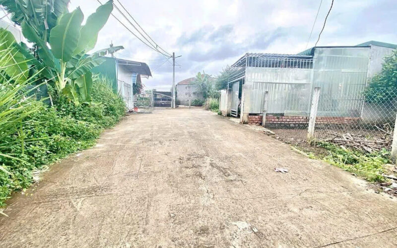 Bannha.net-z7080558085898_0fa553ff5b8301a5eefa881014e9b922