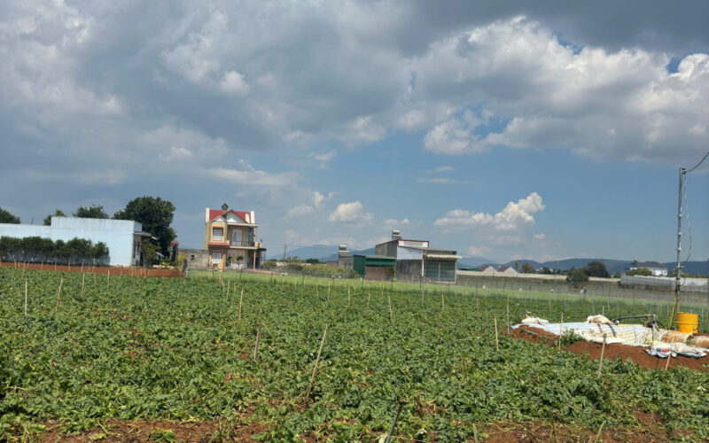 Bannha.net-z7173694000837_861bcbc4bcee01d659d1c65cef90dc03