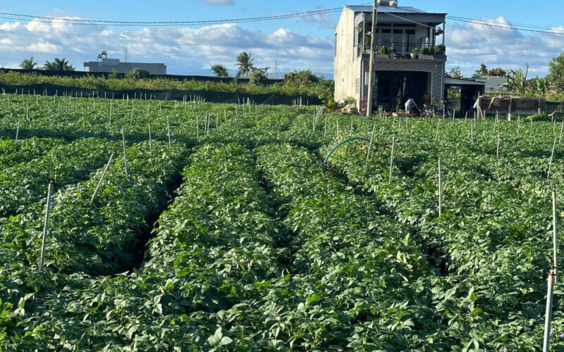 Bannha.net-z7173694000888_2ce0da64a5f3b2f3acc5d2d77faa0c1e