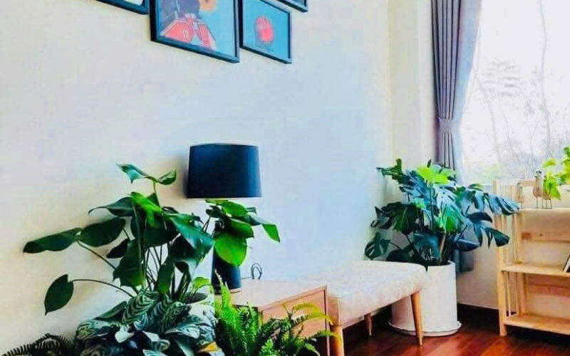 Bannha.net-z7267172217738_3d55b96478b890a4c3078f24729781b5