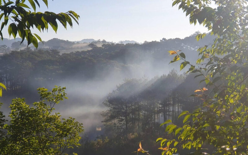 Bannha.net-z7328000391212_86c3524fbe4175b93b4e5e9ff19030bc