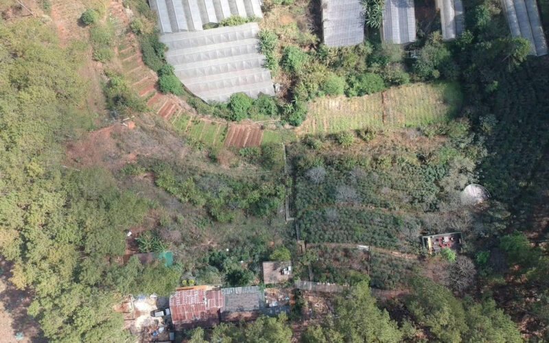 Bannha.net-z7328000391214_7f846bfc2c31db23aaea2cfc3519c29c