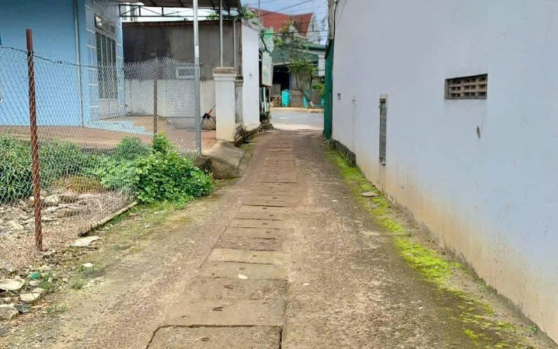 Bannha.net-z7373120937676_784f694e9e2602d9b44108e84f6cc6fb