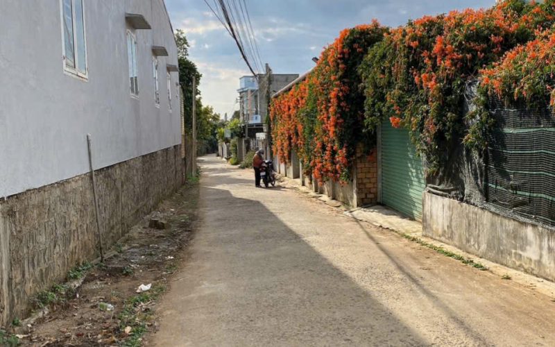 Bannha.net-z7482427694902_0fe397e6ec5d556bc253affddd9c9dc9